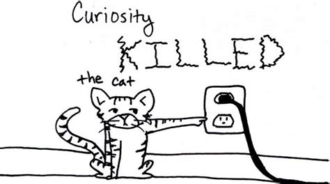 busty lesbian|Curiosity killed the cat